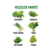 Fesleğen, Dereotu, Soğan, Roka, Maydanoz, Marul 60 GR