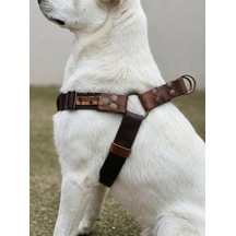 Tr Köpek Göğüs Tasması Ayarlanabilir Küçük & Orta Ve Büyük Irk Kolon Kordon Kahverengi