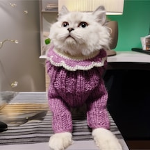 Kedi Ve Köpek İçin Yakalık Hediyeli Mor Işıltılı Balıkçı Tulum