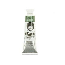 Bob Ross Yağlı Boya Manzara Serisi 37 ML No:6021 Sap Green