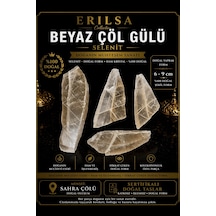 Sertifikalı Beyaz Çöl Gülü Selenit Taşı Kütle - 6-9 Cm Doğal Yapr