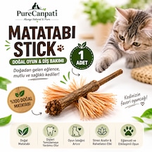 Matatabi Stick 1 Adet Rafya Lifli Doğal Kedi Oyuncağı Ve Çiğneme Çubuğu