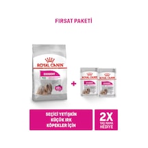 Mini Exigent 3 Kg + Exigent Loaf X 2 Adet