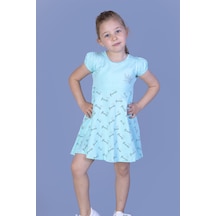 Mint Yeşili