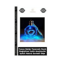 Yunus Balığı Tasarımlı Renk Değiştiren Işıklı Anahtarlık Işıltılı Hatıra Sevimli Obje