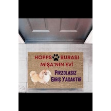Kapı Önü Paspası Dekoratif Dijital Baskı Hopps P-2474 Renkli