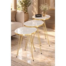 Odera Gold Beyaz Yuvarlak Zigon Sehpa 3'lü Set Gold Tel Metal Ayaklı Retro Salon Sehpası Diğer
