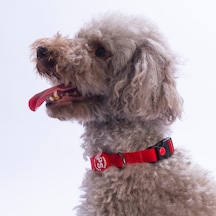 Kırmızı Köpek Boyun Tasması Ayarlanabilir Köpek Tasması