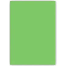 100 Adet 50x70 Boyutunda Yeşil Fon Kartonu 160 Gram