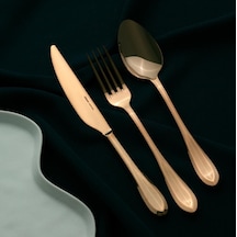 Titanyum Bronz