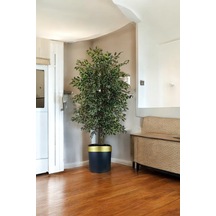180 Cm Yapay Ficus Dekoratif Ağaç Çok Renkli