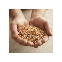 3 Kg Doğal Ve Kaliteli Buğday - Kümes Hayvanları, Tavuk Ve Güvercin Yemi / Tohumluk Ve Besinlik