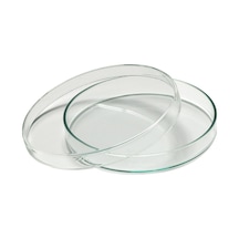 Borox Kapaklı Cam Petri Kabı 75 x 15 MM