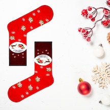 Carnaval Socks Merry Christmas Yazılı Unisex Yılbaşı Desenli Renkli Soket Çorap 2000386