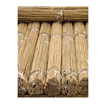 50 Adet Bambu Bitki Fidan Destek Çubuğu 170 - 175 Cm
