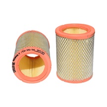 R12 Hava Filtresi 6000046003