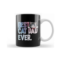 Best Cat Dad Ever Costume Gift Kupa Bardak Porselen Karışık