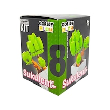Gokidy Blok Sukulent Bitki Yapım Seti No 8 Oza61531