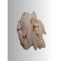 100 G