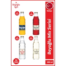 Gazlı İçecek Mix-2 24x250 Ml