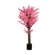120 Cm Pembe Bahardalı Ağacı