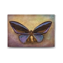 Modern Kelebek Tablo - 100x70cm 7/8 Yaş