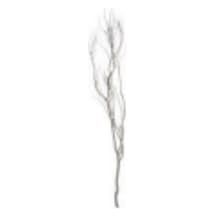 Kuru Bitki, Beyaz Gürgen Tanzim Dalı - 190-200 Cm Çok Renkli