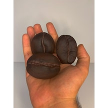 Dekoratif Dev Kahve Çekirdeği Seti - 3'lü Set