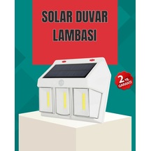 Çok Renkli