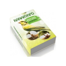 Kanaryapo Kuşlar için Patel  Ayak Bileziği 10 Adet