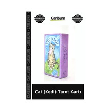 Cat Kedi Tarot Kartı Hobi Ürünü Mistik Objeler Fal Seti