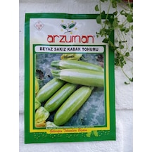 Beyaz Sakız Kabak Tohumu 1 Paket 20 Adet Kabak Tohumu Sebze Tohum N111543