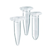 Eppendorf Tüpü 500 Lük Poşet 1.5 Ml
