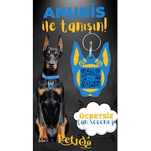 Petjoo 30.Anubis Sarı-Mavi Qr'lı Köpek Künyesi