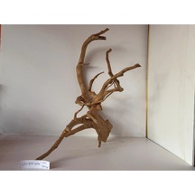 Yati Kökü No:101 25x30x40h