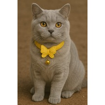Mıt Kedi Boyun Tasması Kelebekli Sarı