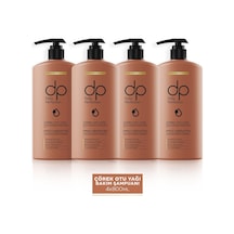 Dp Daily Perfection Şampuan Çörek Otu 4 x  800 ML