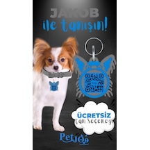 Petjoo 8.Jakob Mavi-Gri Qr'lı Köpek Künyesi