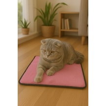 Yumuşak Dokulu Peluş Kedi Halısı 40x40 Cm Kulübe İçi Pofuduk Minder