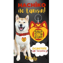 Petjoo 19.Hachiko Sarı-Kırmızı Qr'lı Köpek Künyesi