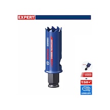 Bosch Expert 22 Mm Farklı Malzemeler İçin Karbür Panç 2608901880