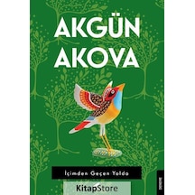 İçimden Geçen Yolda - Akgün Akova - Karakarga