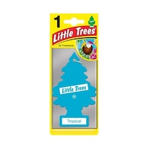 Little Trees Tropical Araba Kokusu