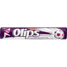 Kent Olips Orman Meyveleri 28 G