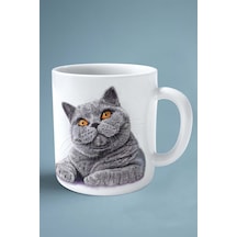 British Shorthairt Kedi İsimli Kişiye Özel Baskılı Kupa Bardak Tüy Çok Renkli