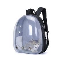 Taşınabilir Açık Pet Kedi Panoramik Şeffaf Nefes Sırt Çantası