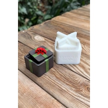 Paket Kapaklı Silikon Kap Kalıbı Çok Renkli