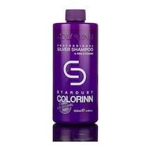 Colorinn Stardust Silver Mor Şampuan 500 ML