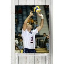 Lloy Ball Posteri