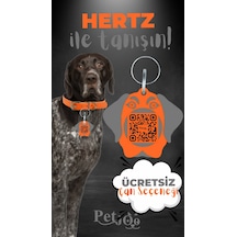 Petjoo 26.Hertz Gri-Turuncu Qr'lı Köpek Künyesi